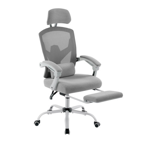 Inbox Zero Hrinder Ergonomic Mesh Task Chair with Footrest & Reviews